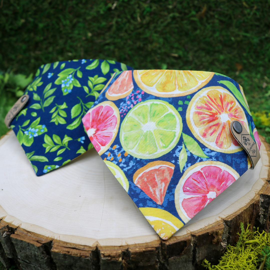 Snap on reveresible bandanas for cats and dogs by Luminous Pets - Summer citrus slices and lemon leaves