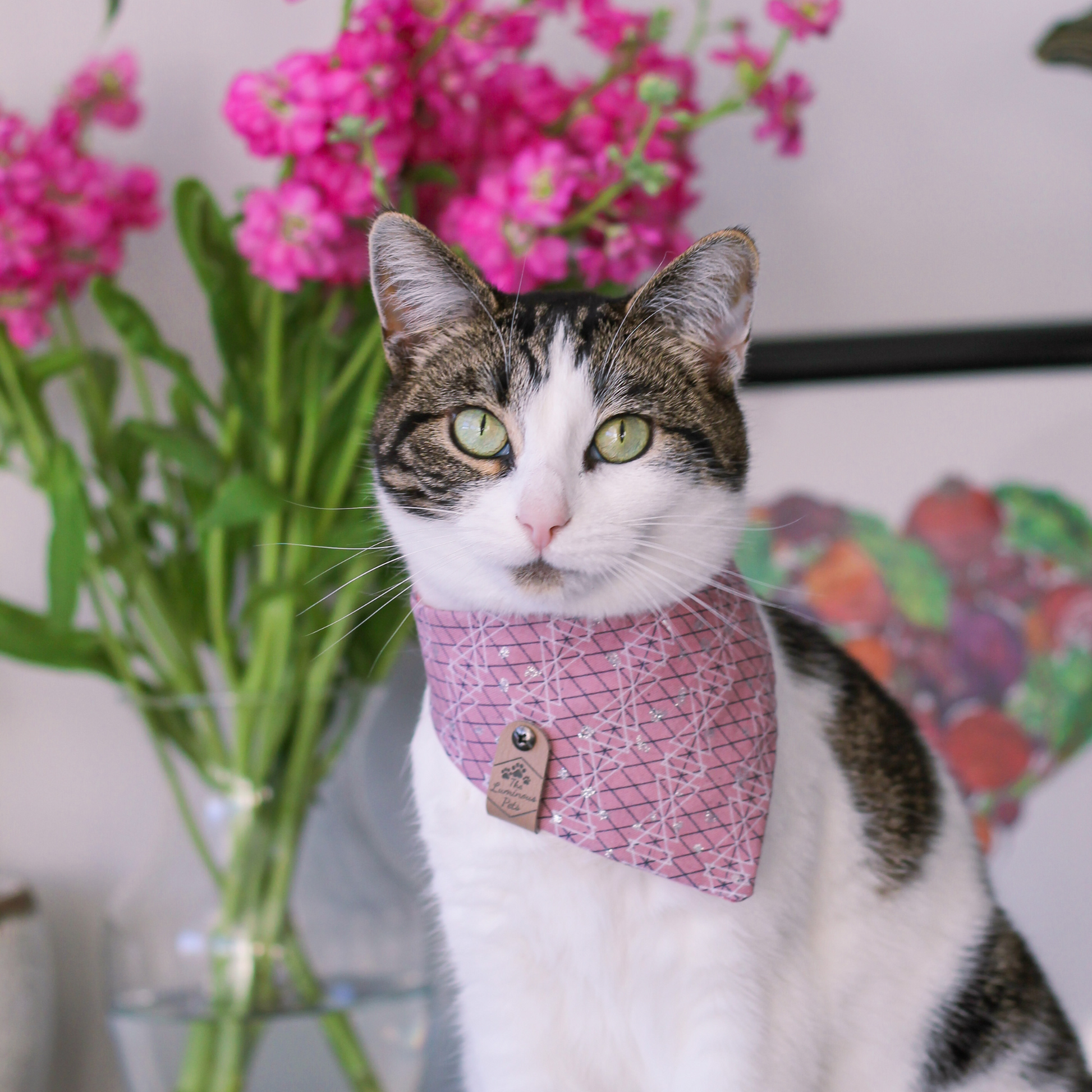 Brown tabby with white cat in pink bandana | Handmade cat accessories by The Luminous Pets