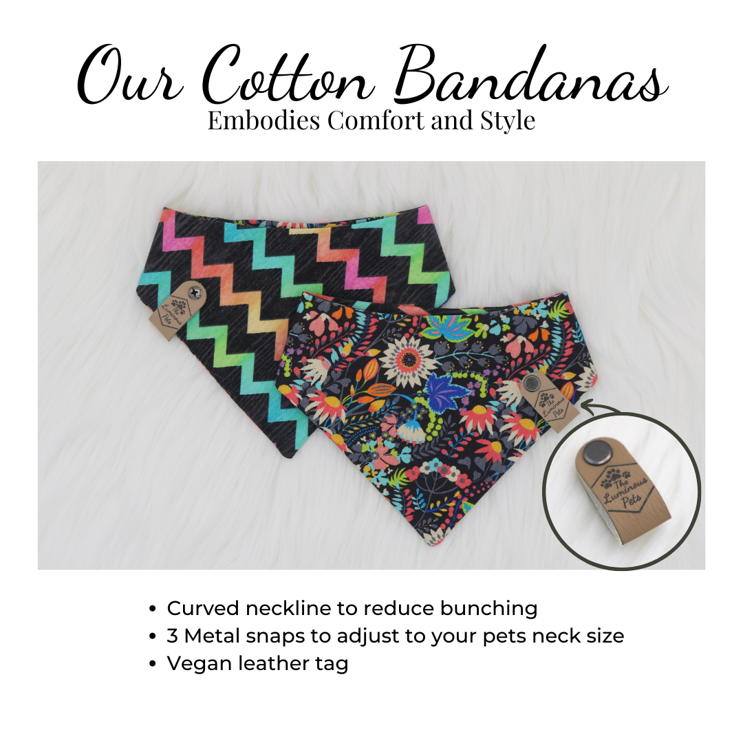 Snap on bandanas by The Luminous Pets | Comfortable and Stylish Pet Accessories