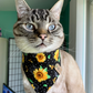 Cute cat in sunflower and bee bandana | Cat accessories by The Luminous Pets