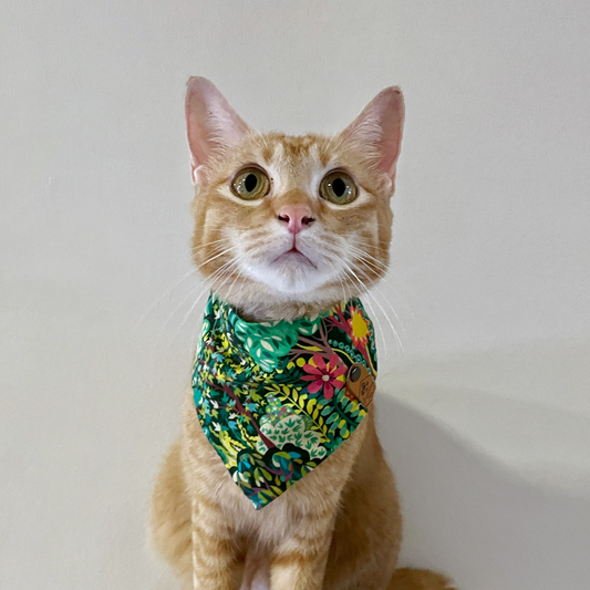 Female orange tabby in cat bandana | Handmade snap on bandanas by The Luminous Pets