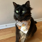 Black cat in bandana handmade by The Luminous Pets
