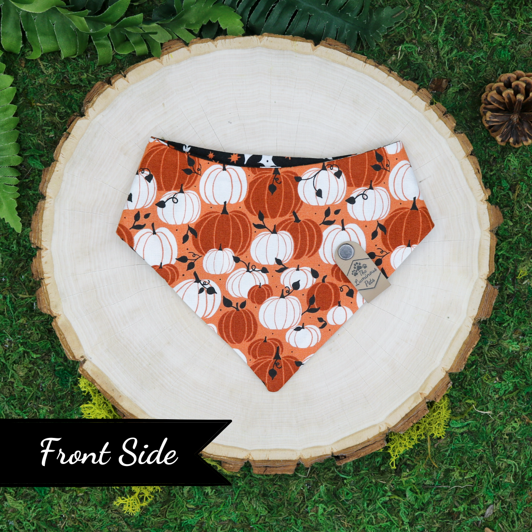 Pumpkins and witchcraft reversible Halloween and autumn bandana by Luminous Pets