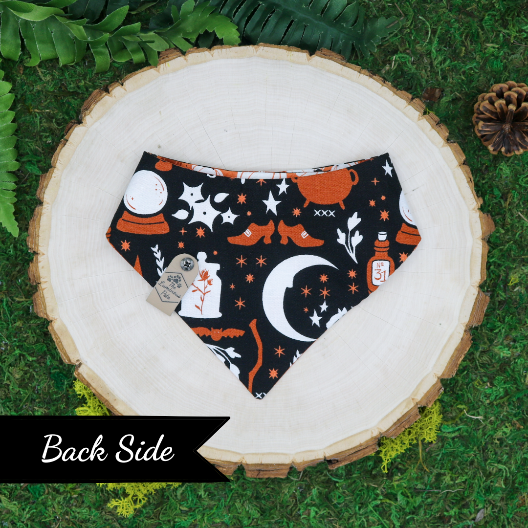 Pumpkins and witchcraft reversible Halloween and autumn bandana by Luminous Pets