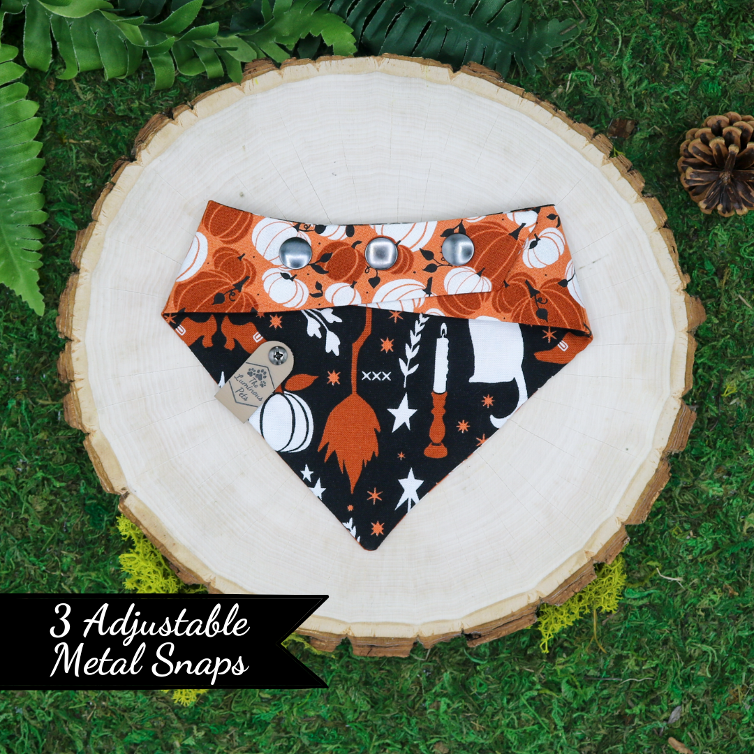 Pumpkins and witchcraft reversible Halloween and autumn bandana by Luminous Pets