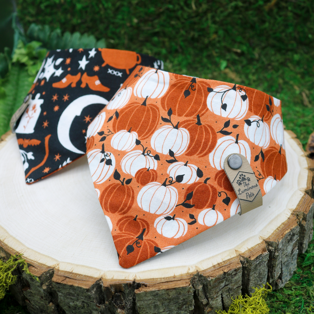 Pumpkins and witchcraft reversible Halloween and autumn bandana by Luminous Pets