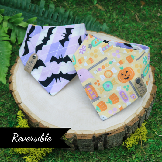 Snap on reveresible pet bandana by Luminous Pets _ Halloween candy and bats on argyle