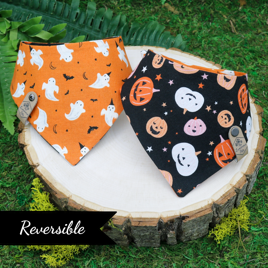 Halloween snap on reversible pet bandana by Luminous Pets _ Happy pumpkins and playful ghosts