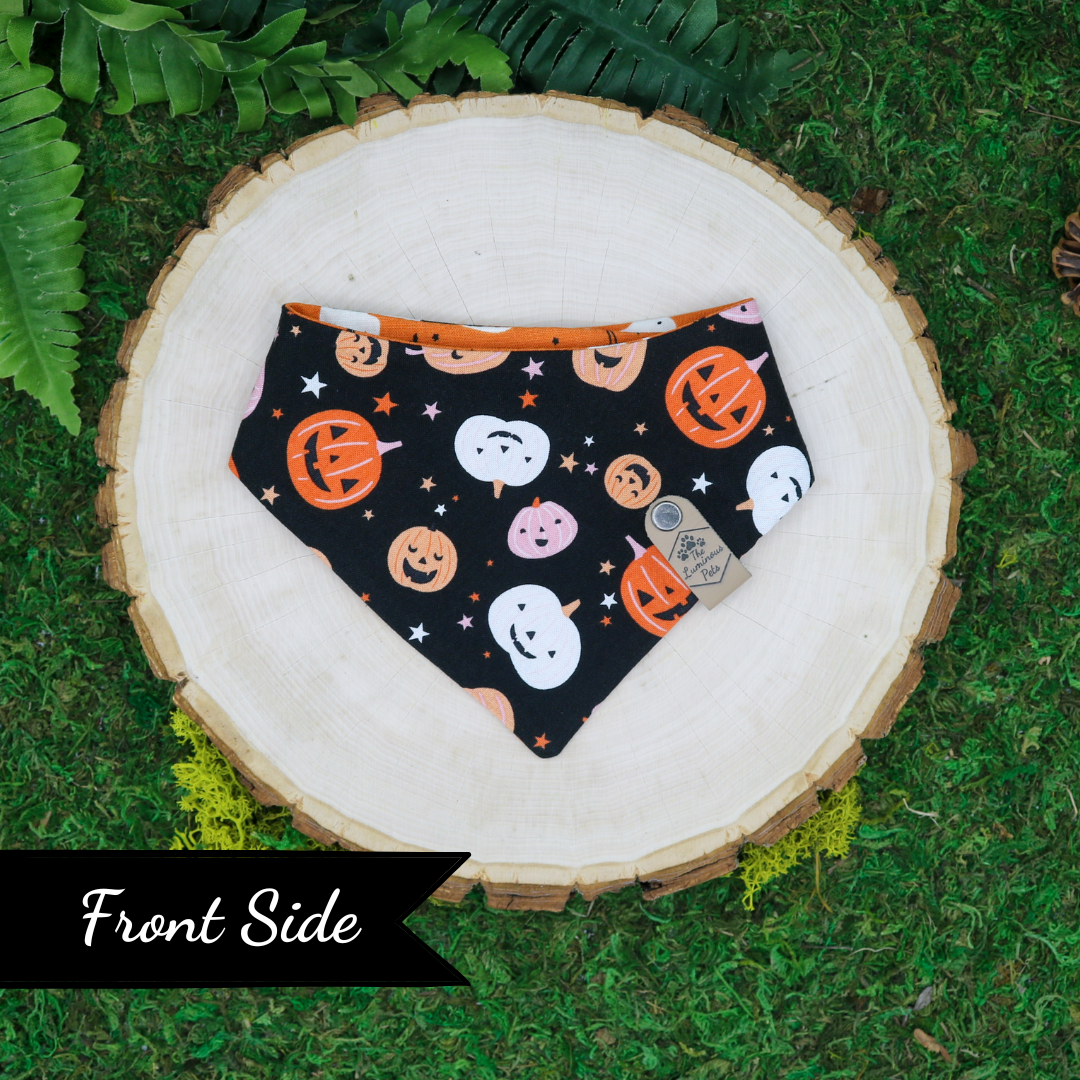 Halloween snap on reversible pet bandana by Luminous Pets _ Happy pumpkins and playful ghosts