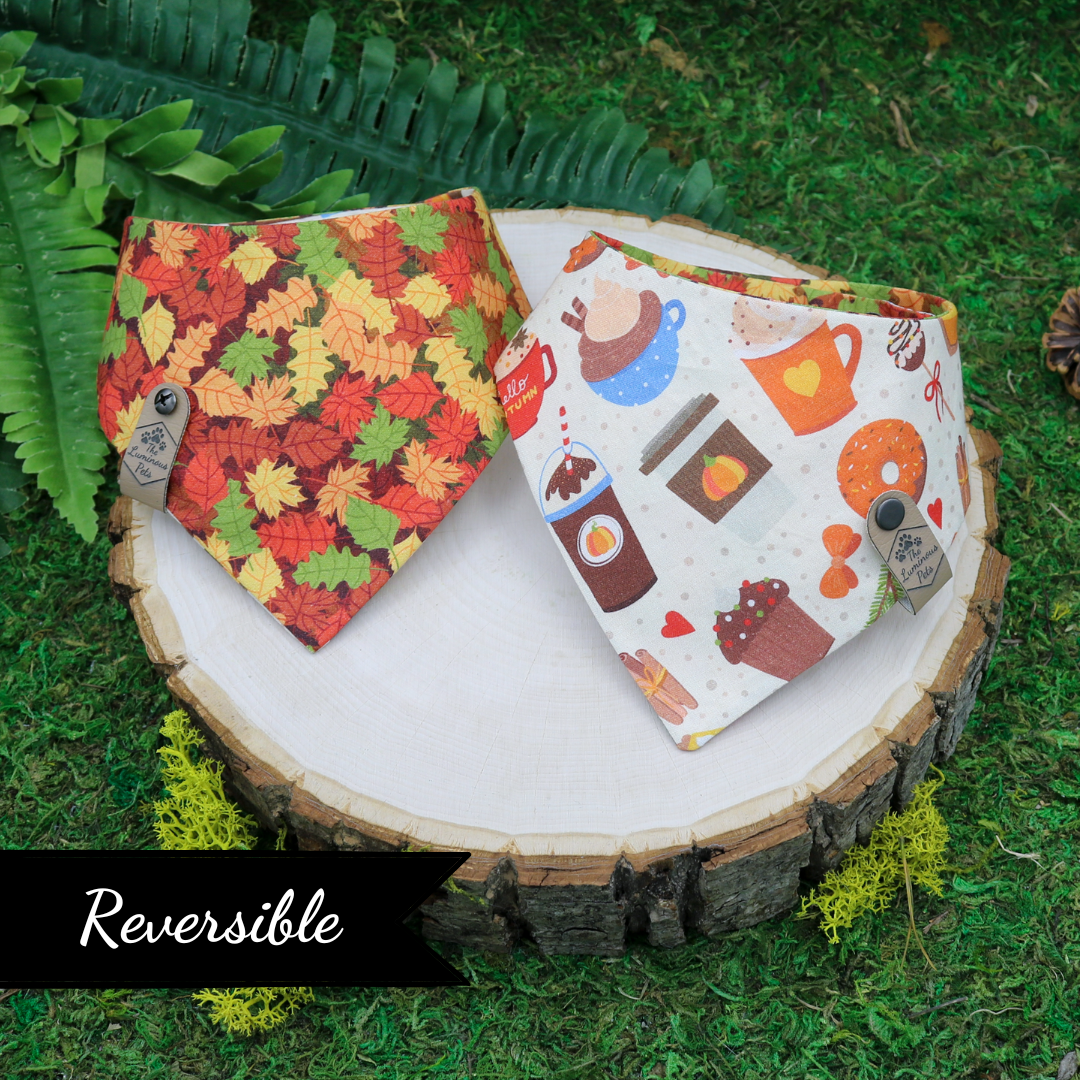 Autumn snap on reversible pet bandana by Luminous Pets _ Pumpkin spice latte and autumn leaves