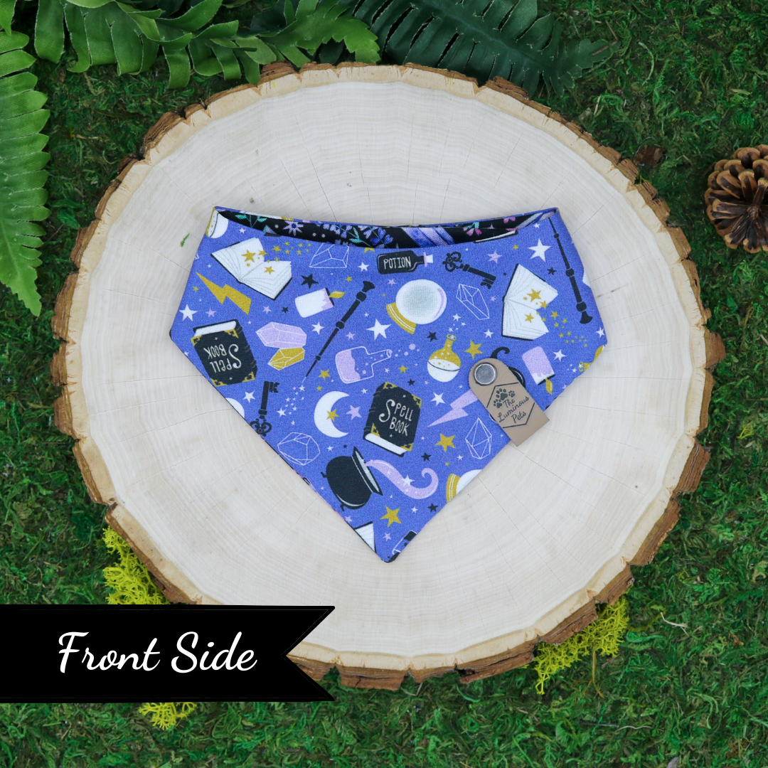 Snap on reversible pet bandanas by Luminous Pets _ Witchcraft and crystals