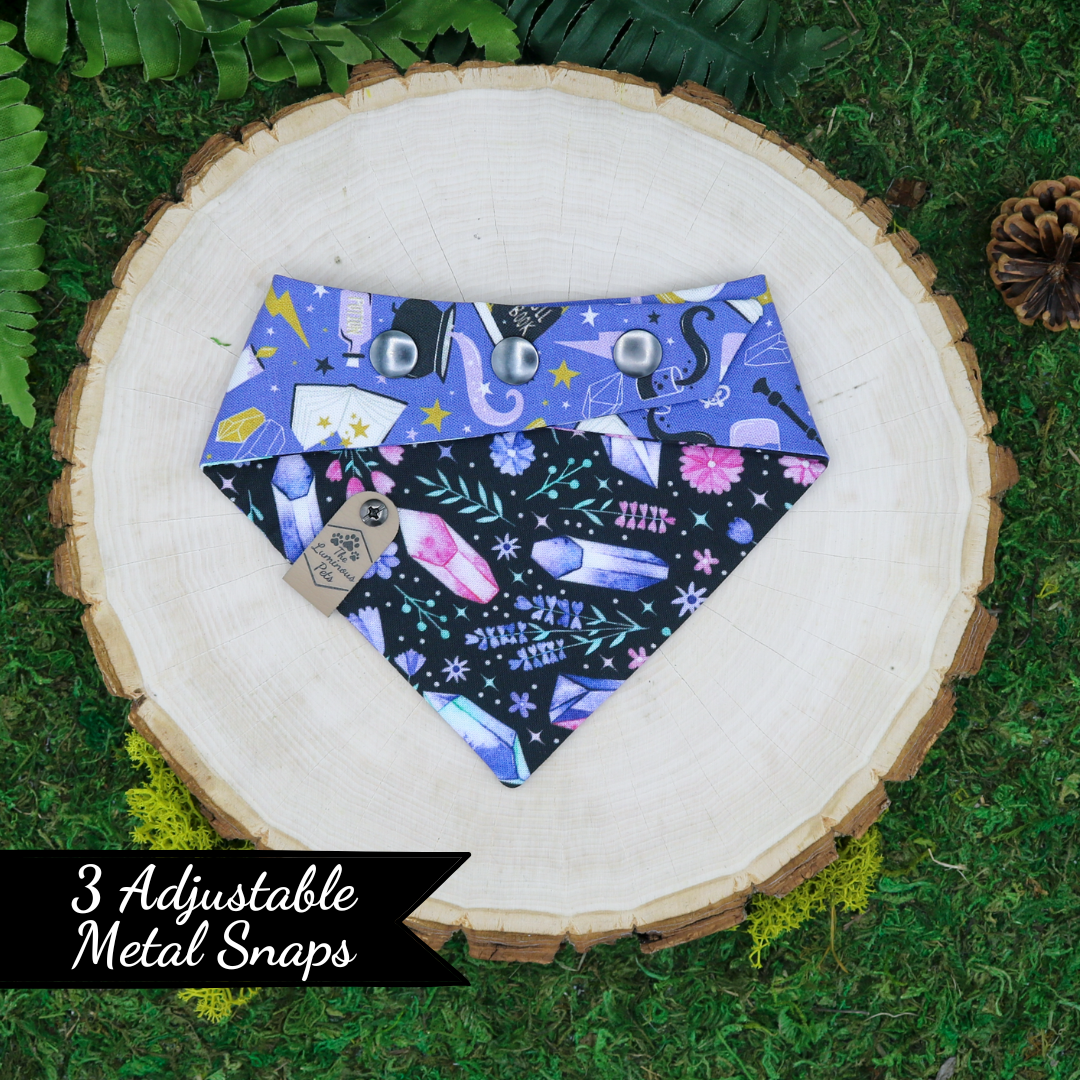 Snap on reversible pet bandanas by Luminous Pets _ Witchcraft and crystals