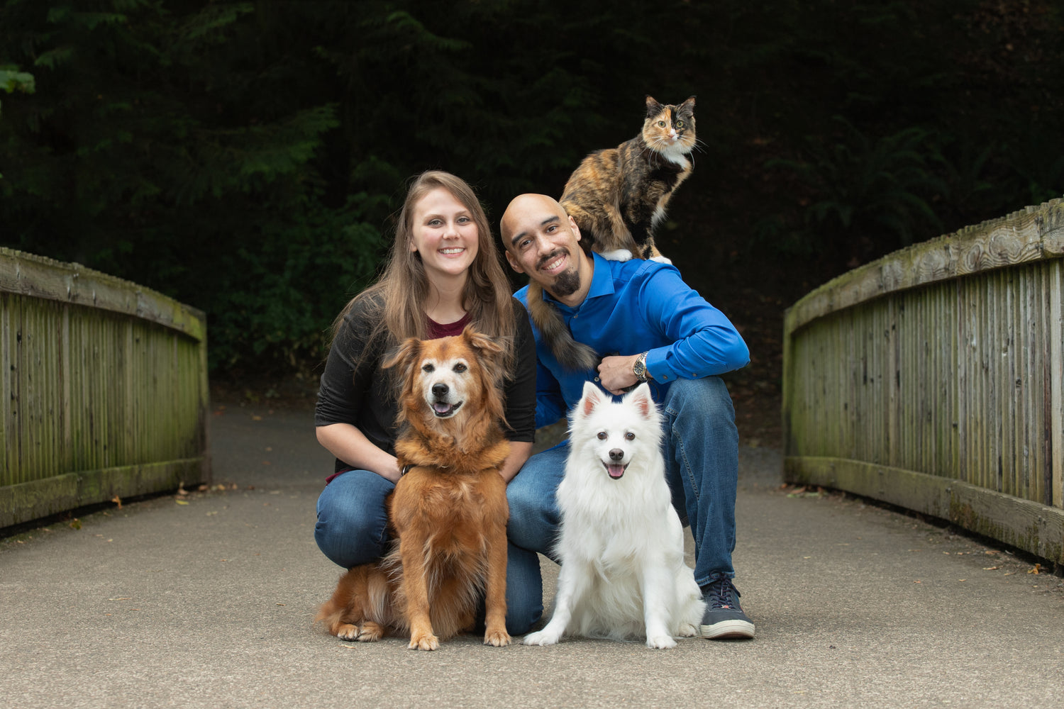 The Luminous Pets Family | Josie, Isiah, Ronan, Kahlua and Ember