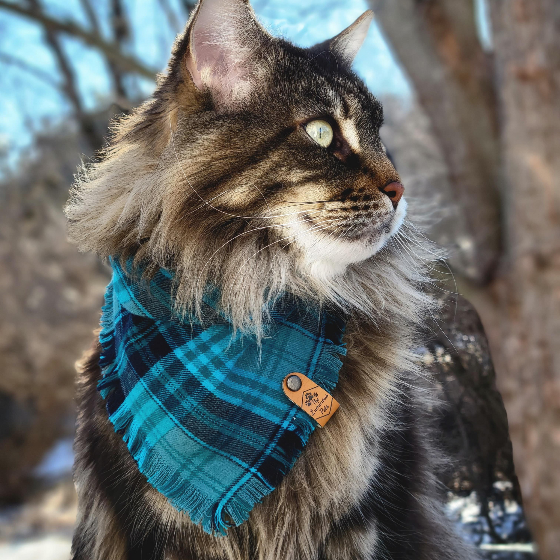 Mainecoon cat in teal plaid bandana | Handmade by The Luminous Pets