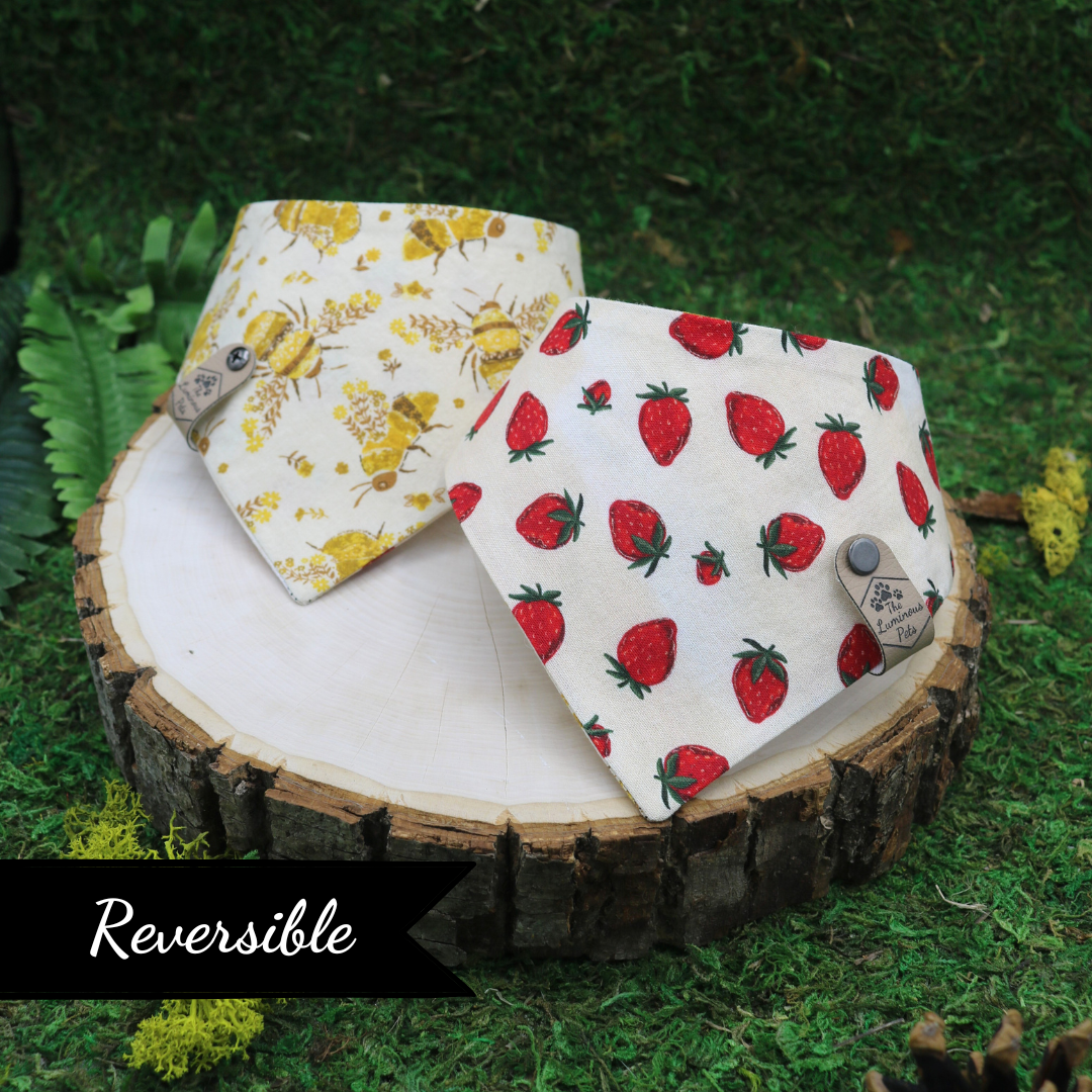 The Luminous Pets Reversible Pet Bandana for Cats and Dogs with Strawberries and Floral Bees