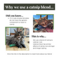 Why we use catnip and valerian root blend | The Luminous Pets