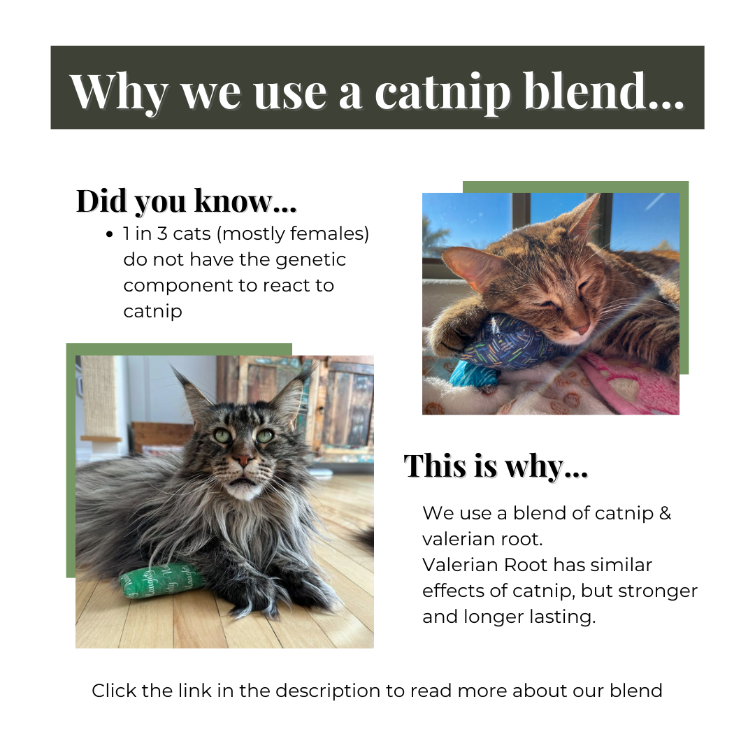 Catnip blend with valerian root | The Luminous Pets Handmade Cat Toys