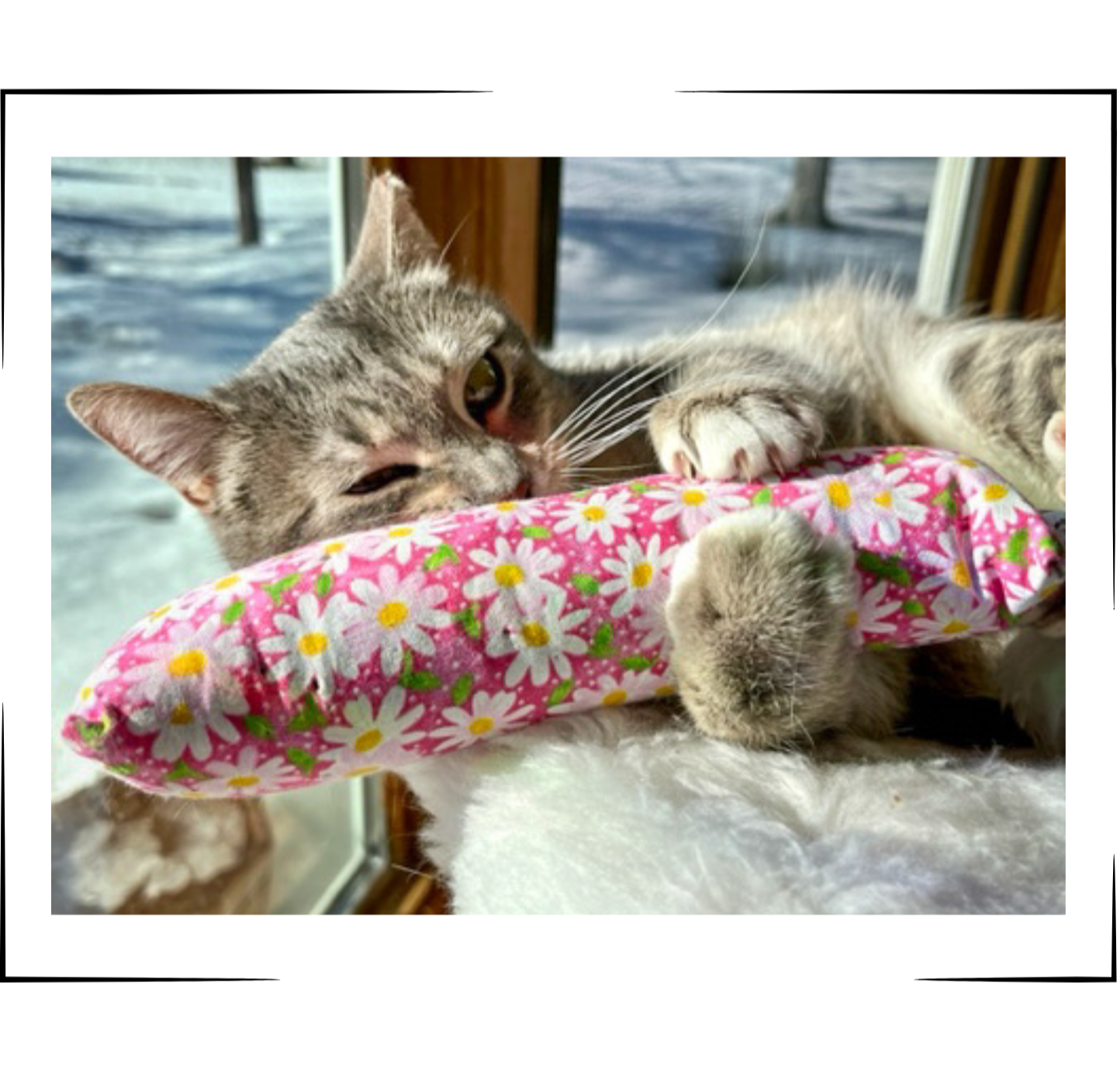 Silver Tabby Cat Playing with Catnip and Valerian Root Cat Toy by The Luminous Pets