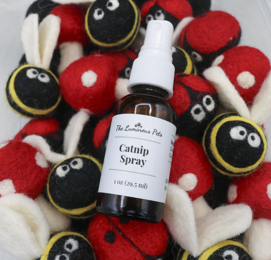 Combo Pack of Catnip Spray and Wool Toys made by Friendsheep Sprayed with Catnip Spray