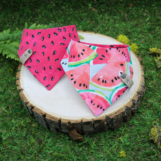 Spring watermelon pet bandana for dogs and cats | Snap on cat accessories by The Luminous Pets