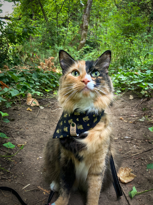 Adventure Cat in Mouse Bandana | Cat Accessories by The Luminous Pets